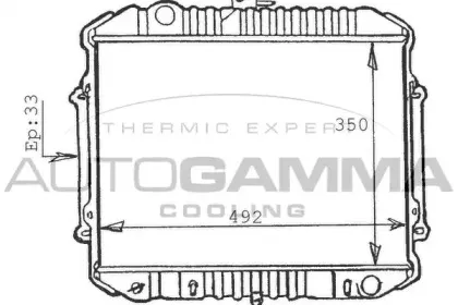 autogamma-100564