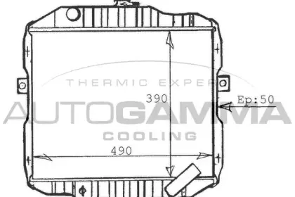 autogamma-100591