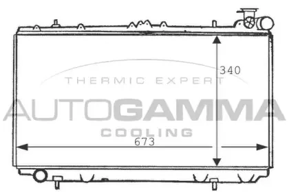 autogamma-100634