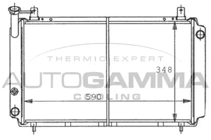 autogamma-100647