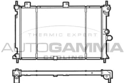 autogamma-100669