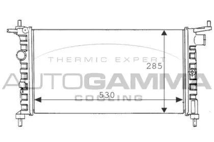 autogamma-100674