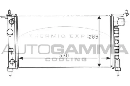 autogamma-100676