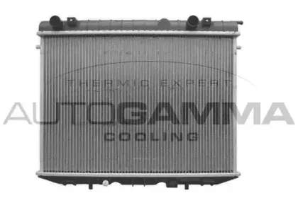 autogamma-100677