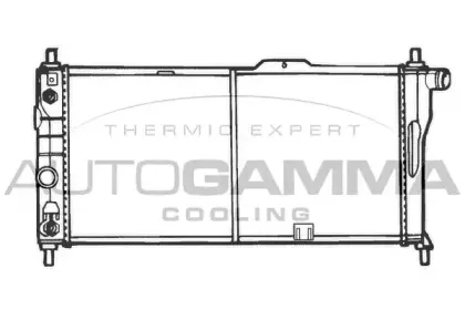 autogamma-100693