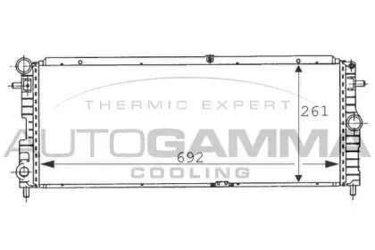 autogamma-100708