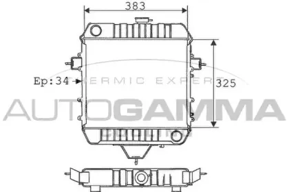 autogamma-100713