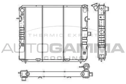autogamma-100721
