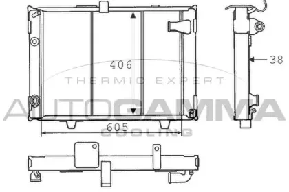 autogamma-100805