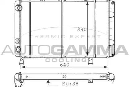 autogamma-100809