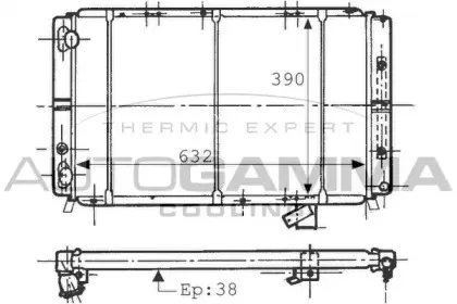 autogamma-100812
