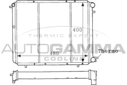 autogamma-100855
