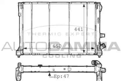 autogamma-100891