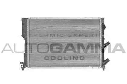 autogamma-100897