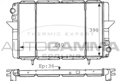 autogamma-100901