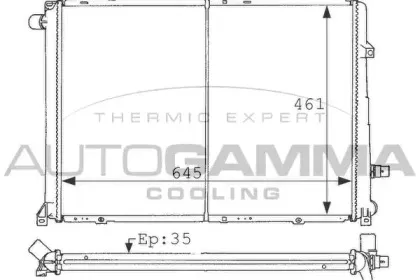 autogamma-100910