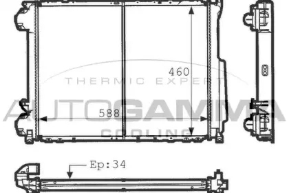 autogamma-100913