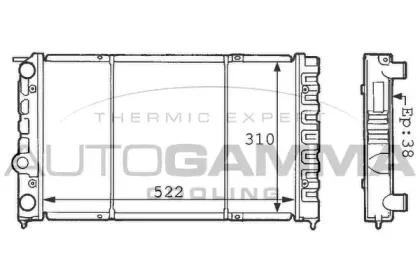 autogamma-100959