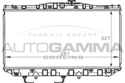autogamma-100989