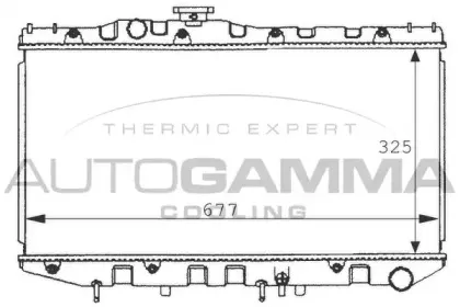 autogamma-100990