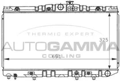 autogamma-100993