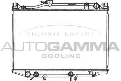 autogamma-100995