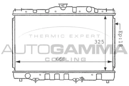 autogamma-100996