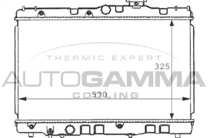 autogamma-100997