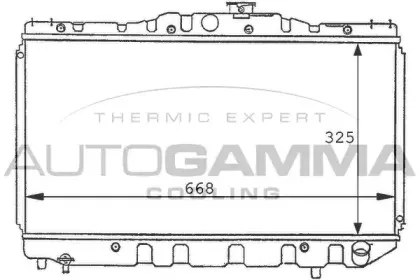 autogamma-101003