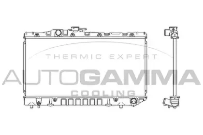autogamma-101011