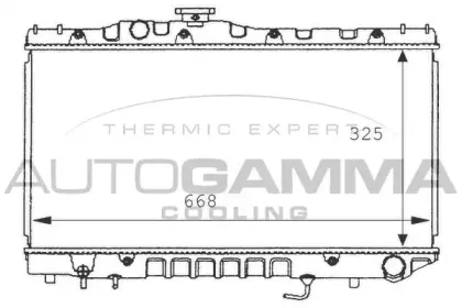 autogamma-101012