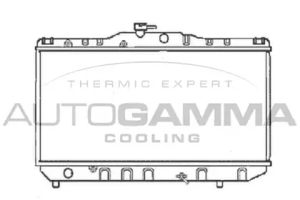 autogamma-101016