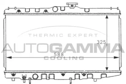 autogamma-101017