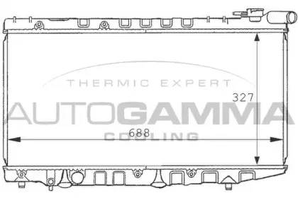 autogamma-101019