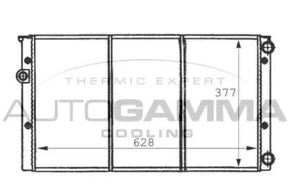 autogamma-101057