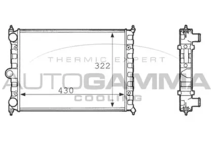 autogamma-101079