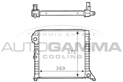 autogamma-101105