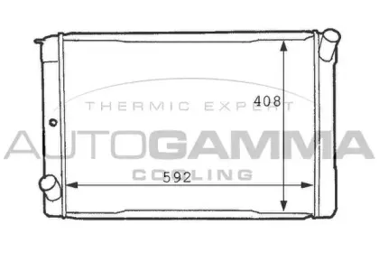 autogamma-101112