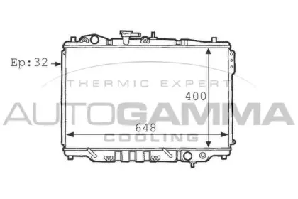autogamma-101131