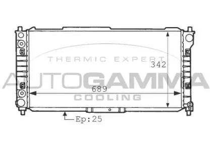 autogamma-101132