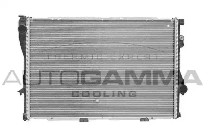 autogamma-101156