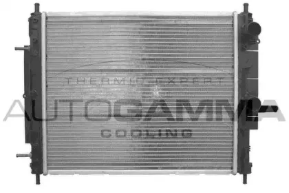autogamma-101171