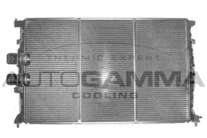 autogamma-101233
