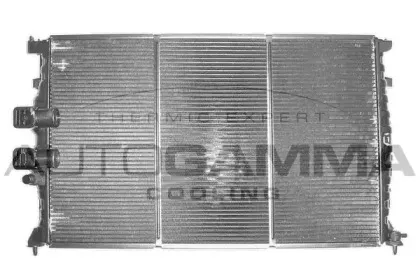 autogamma-101234