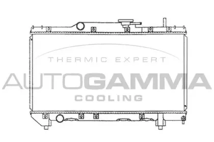autogamma-101268