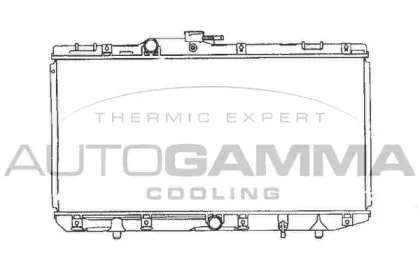 autogamma-101278