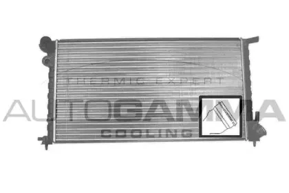 autogamma-101306