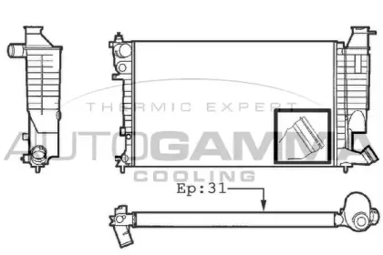 autogamma-101311