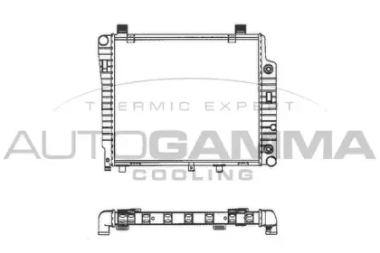 autogamma-101319