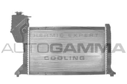 autogamma-101324